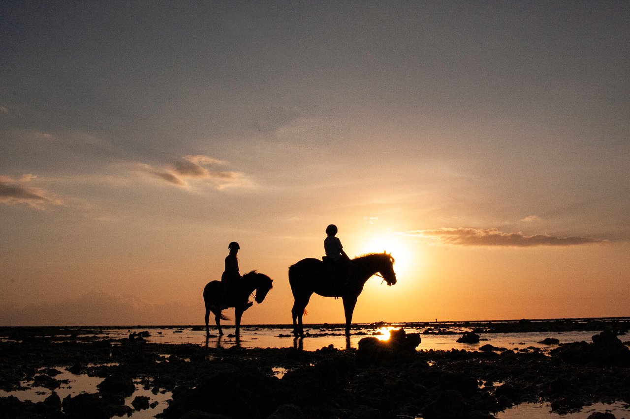 A horse on the beach at sunset on Gili Trawangan, Lombok