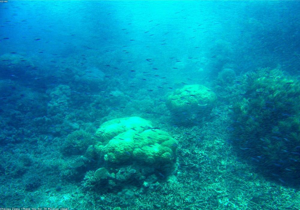 Gili Turtle Point