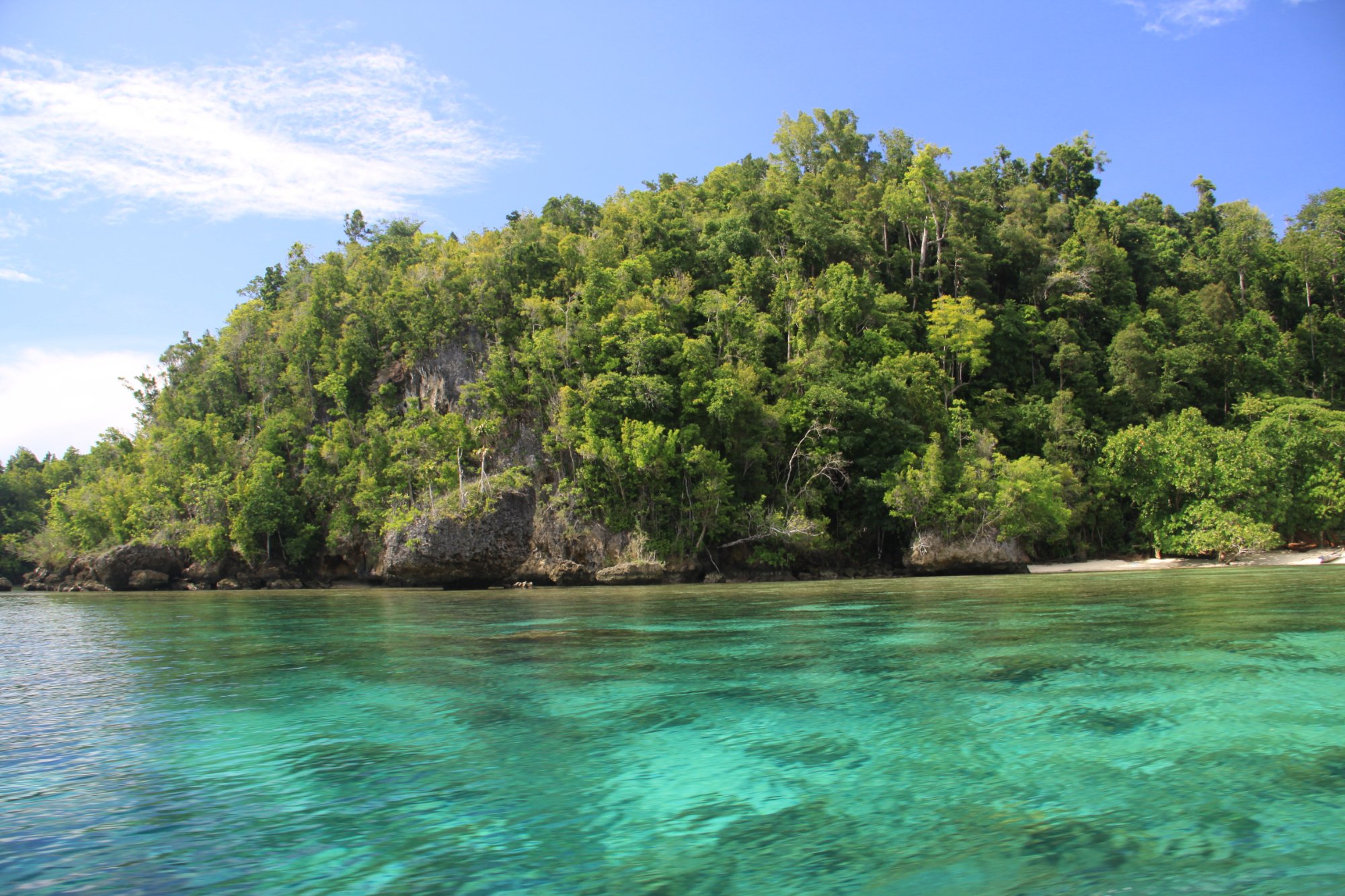 A green island and fringing reef in the Togean Islands, Central Sulawesi