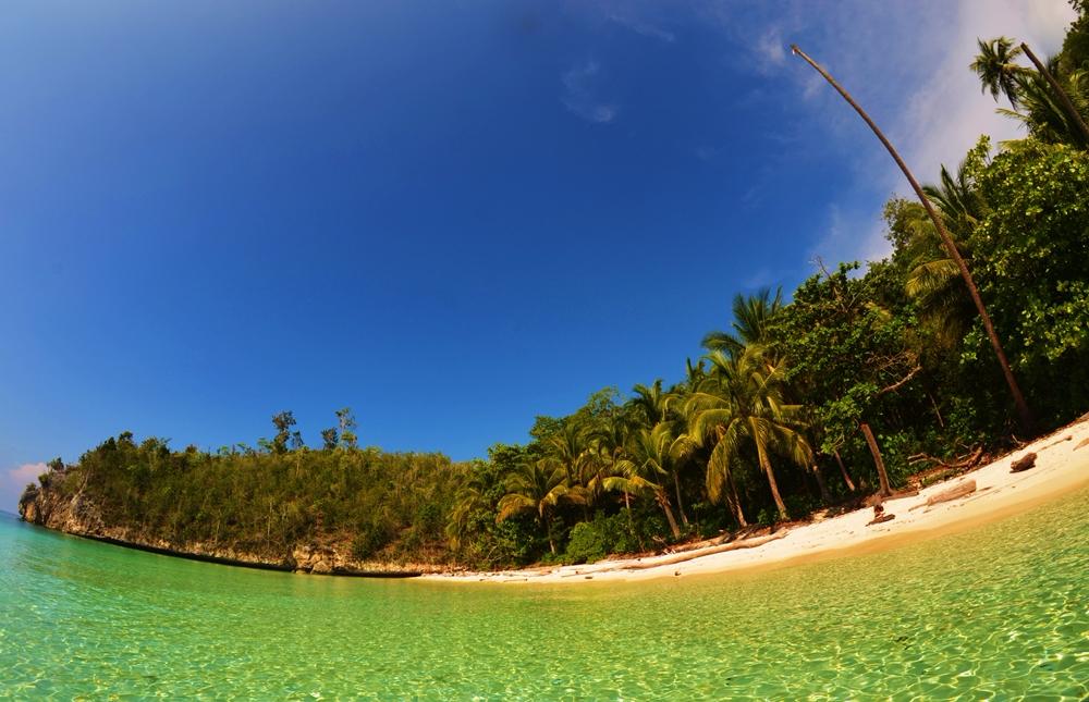 Palms and turquoise water on a beach in the Togean Islands, Central Sulawesi