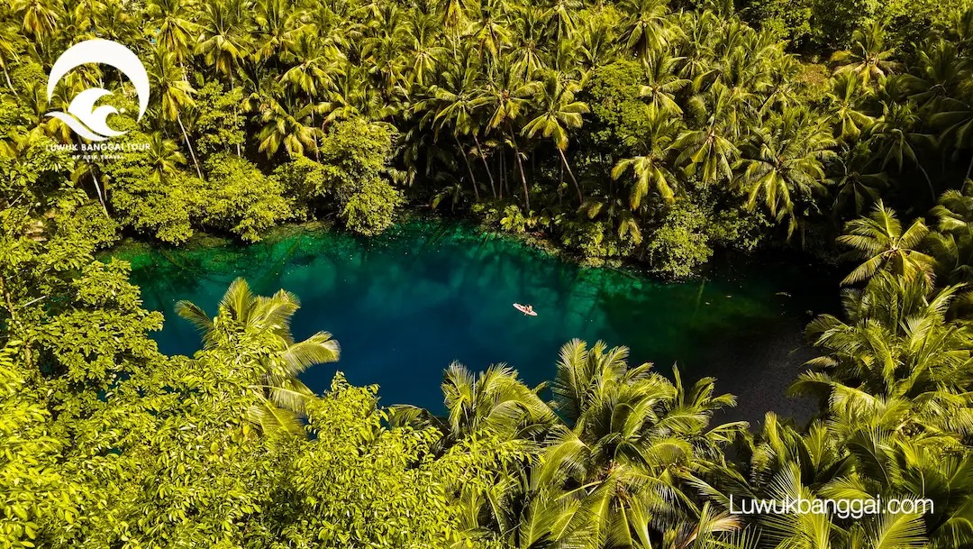 Turquoise water and jungle framing Paisupok Lake, Banggai
