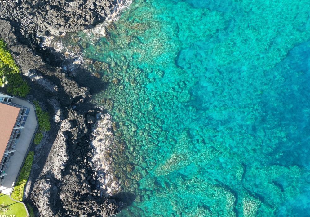 Labengki Kecil Lagoon and Giant Clams