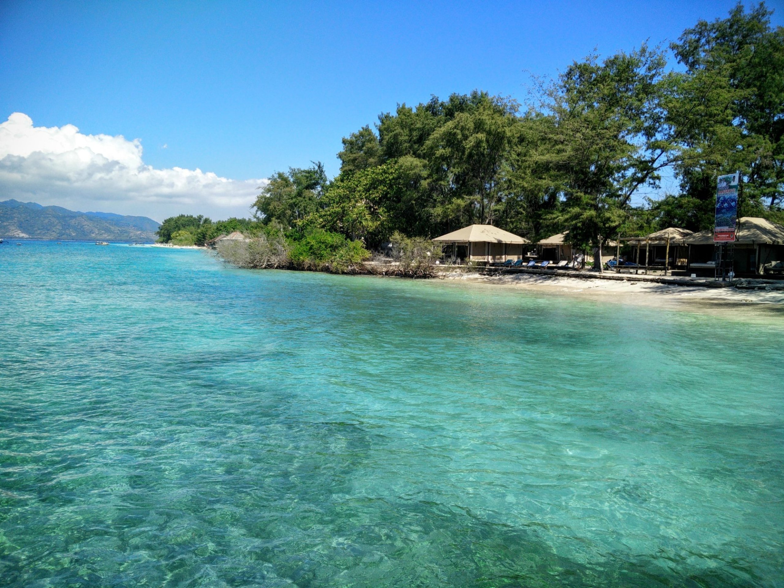 Turquoise water and palms on the beach at Gili Meno, Lombok