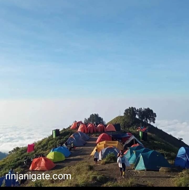 Mount Rinjani rising above the village fields of Sembalun, Lombok
