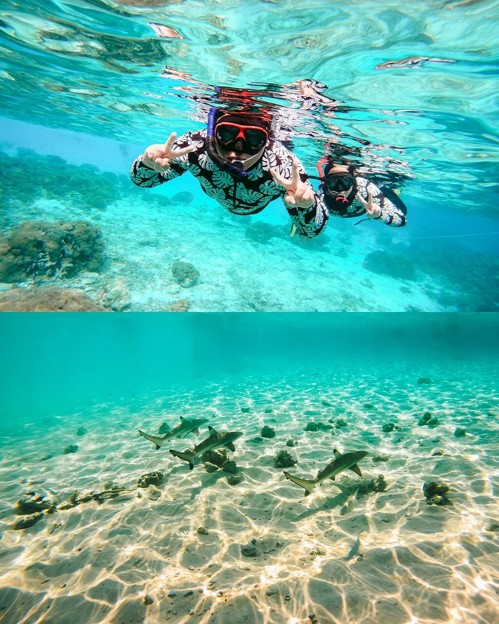 Snorkellers in the turquoise shallows of Komodo National Park