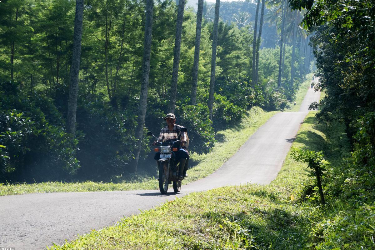 Ubud