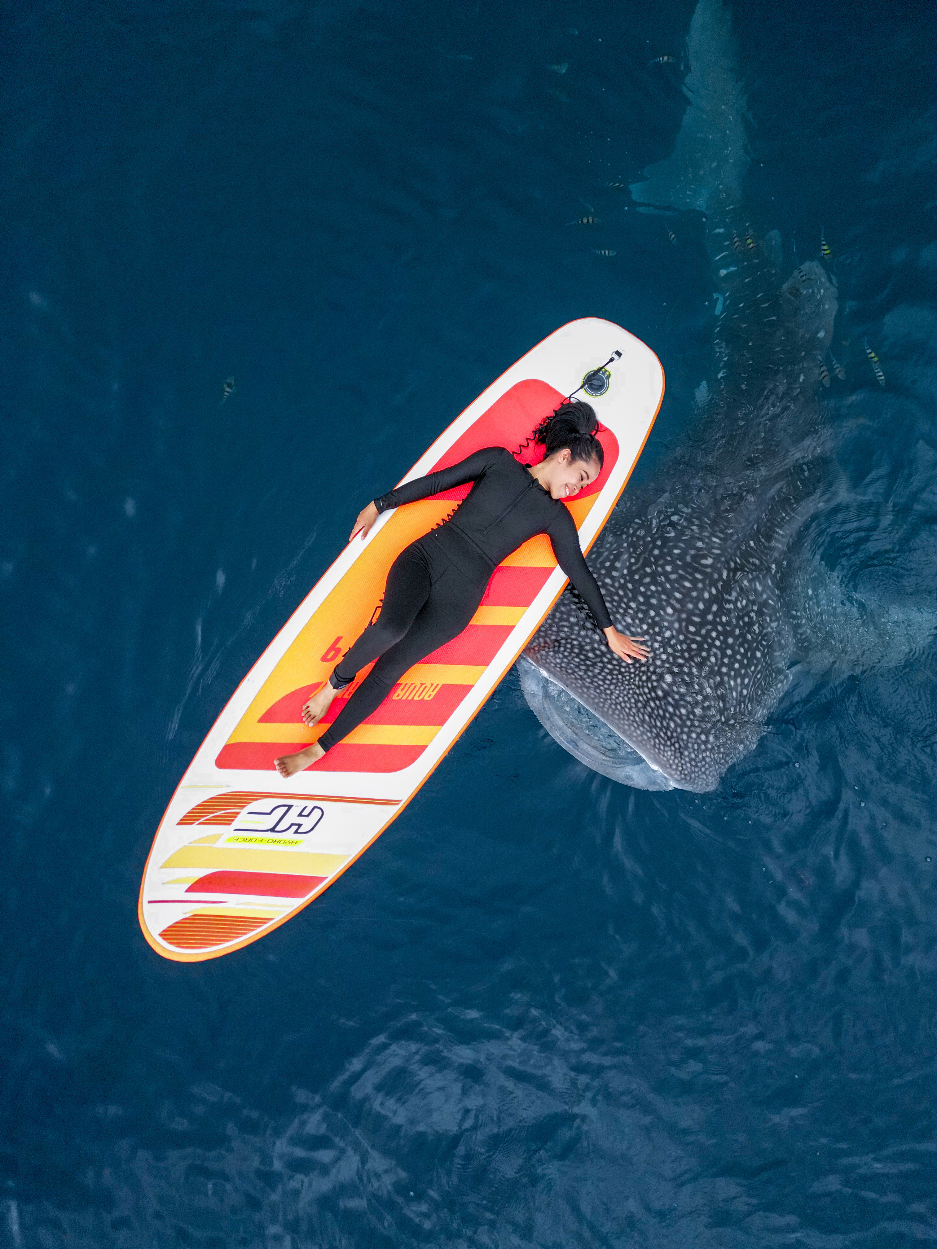 Luwuk & Gorontalo 6D5N: Whale Sharks, Lakes & Caves